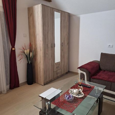 Apartmani Lena Pluzine Bagian luar foto