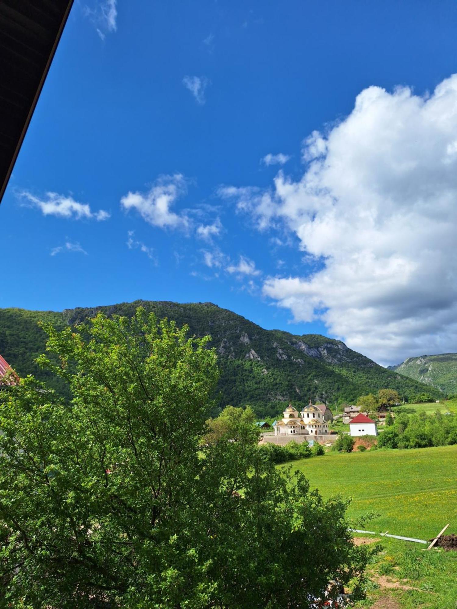 Apartmani Lena Pluzine Bagian luar foto