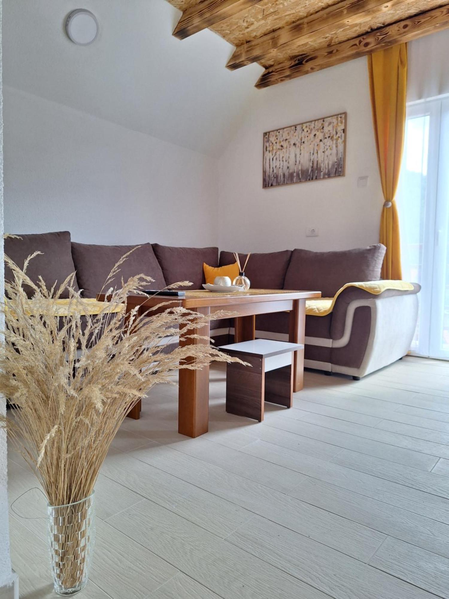 Apartmani Lena Pluzine Bagian luar foto