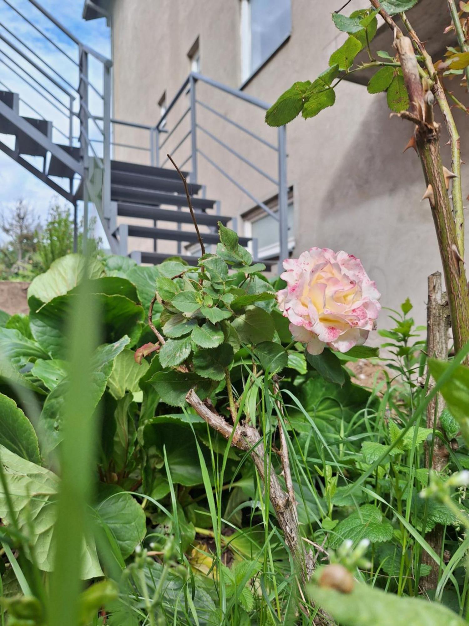 Apartmani Lena Pluzine Bagian luar foto
