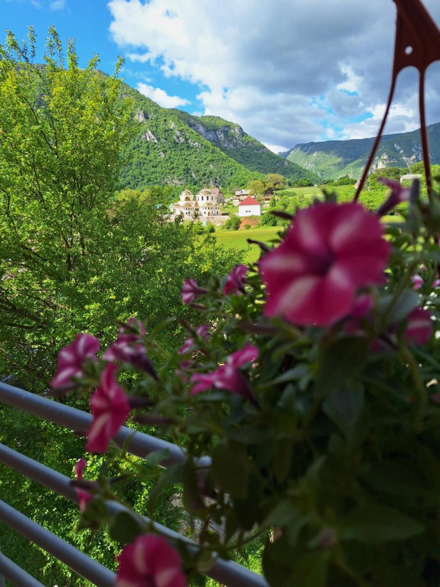 Apartmani Lena Pluzine Bagian luar foto