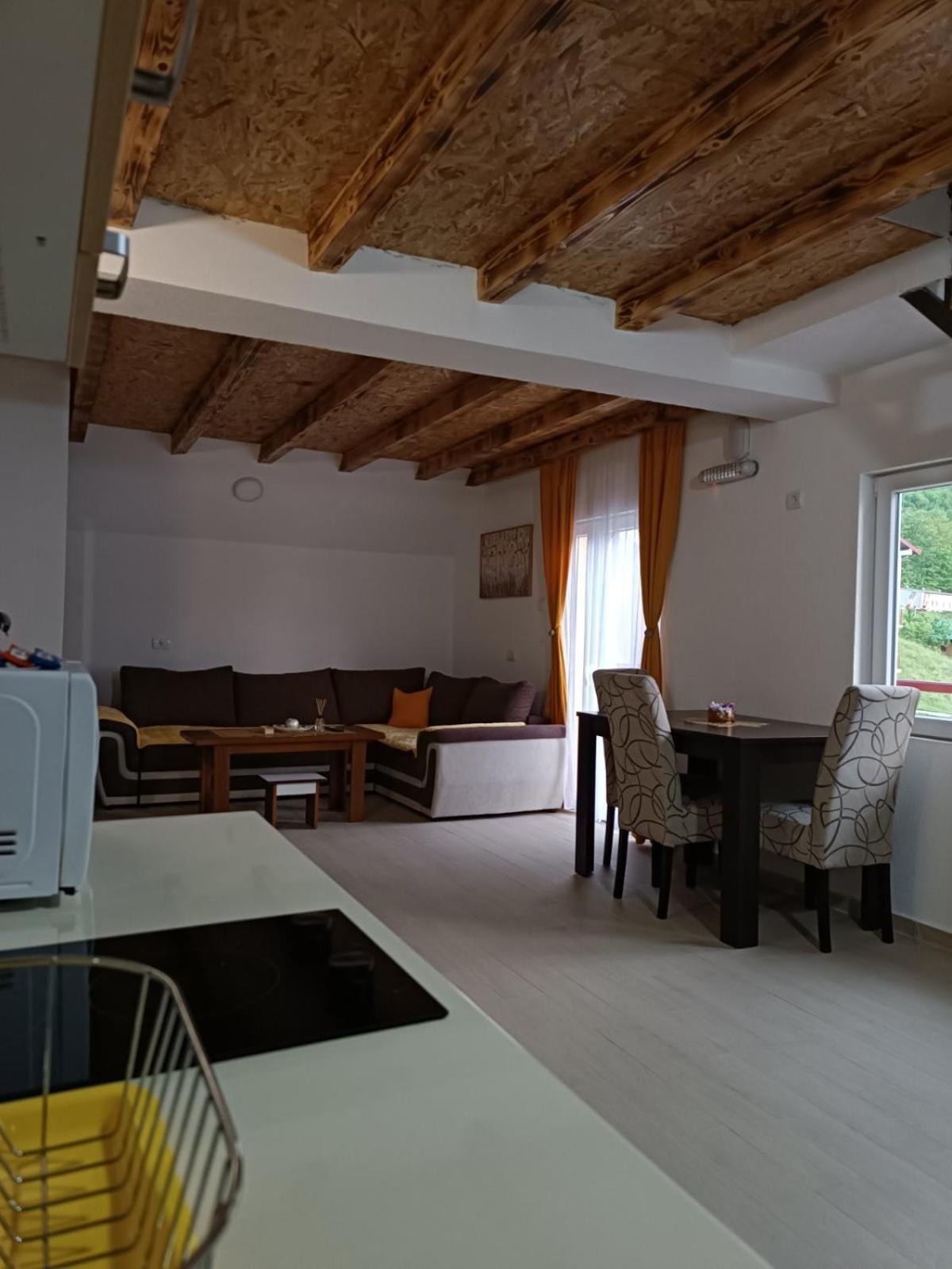 Apartmani Lena Pluzine Ruang foto